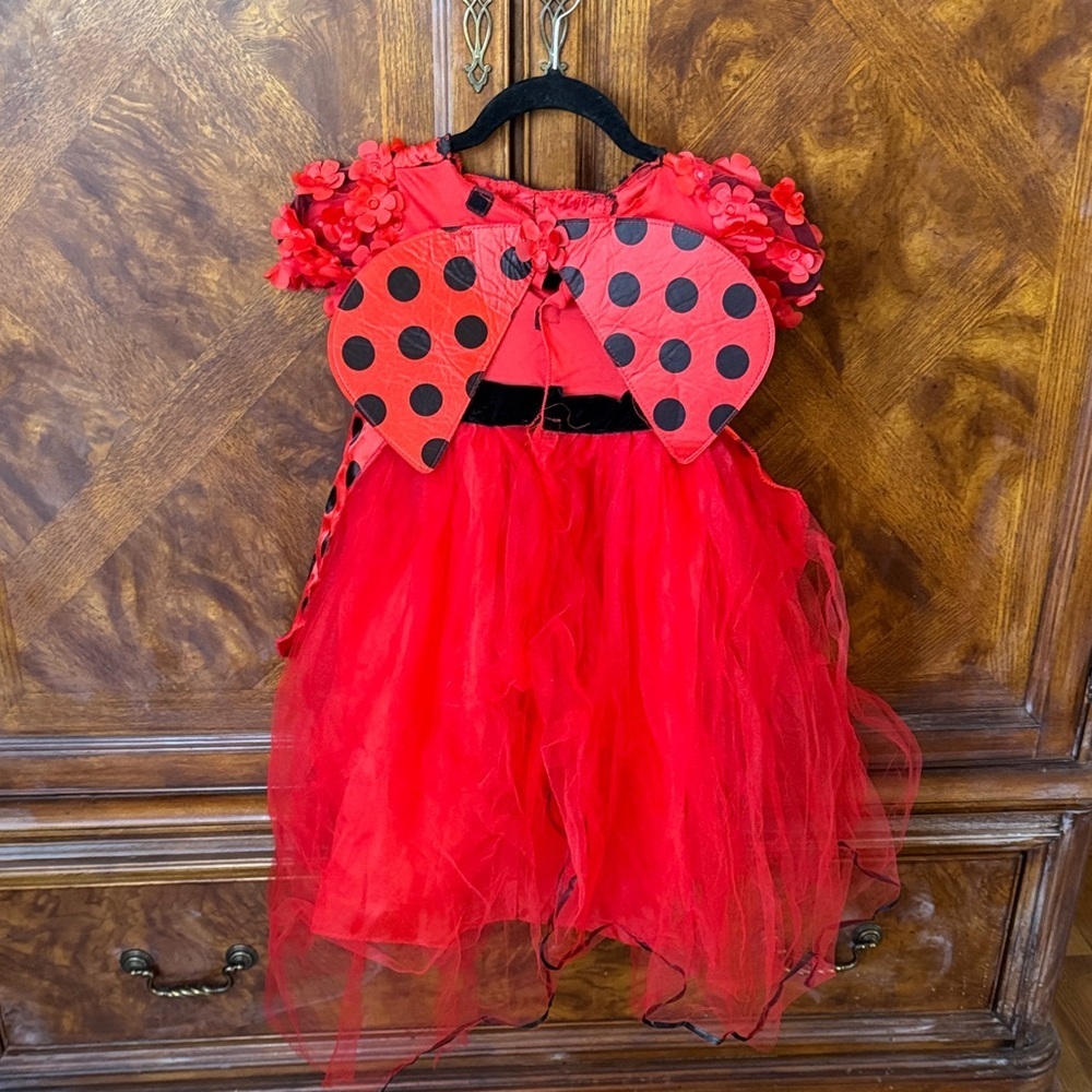 Red and Black Polka Dot Ladybug Costume Dress for 2-3T - Picture 3 of 5